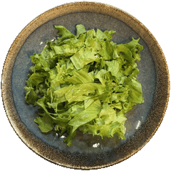 Zelena salata
